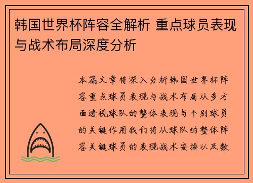 韩国世界杯阵容全解析 重点球员表现与战术布局深度分析